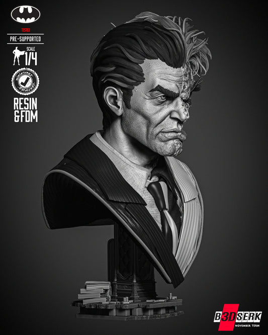 Two Face Bust