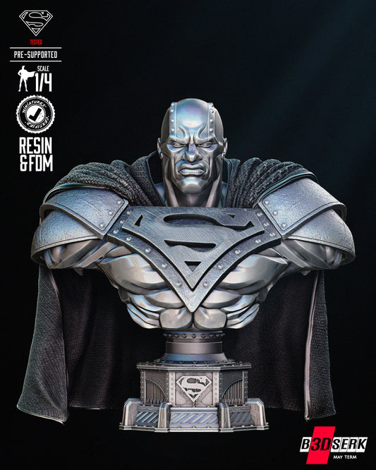 STEEL Bust