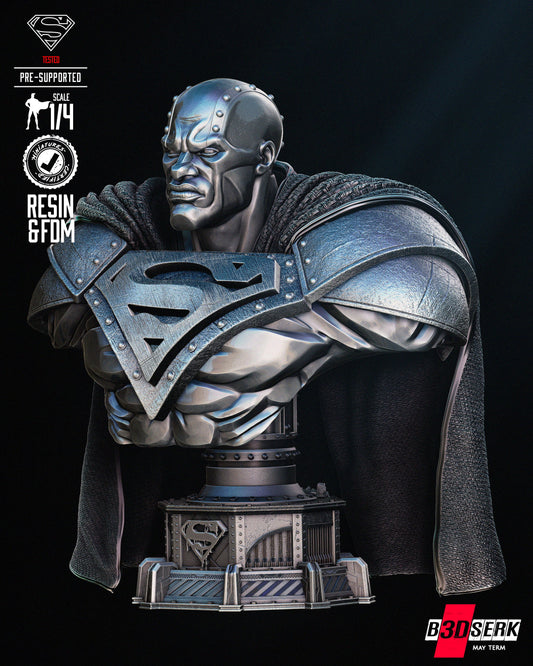 STEEL Bust