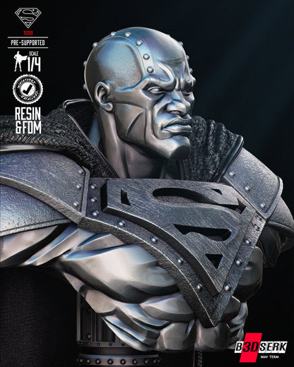 STEEL Bust