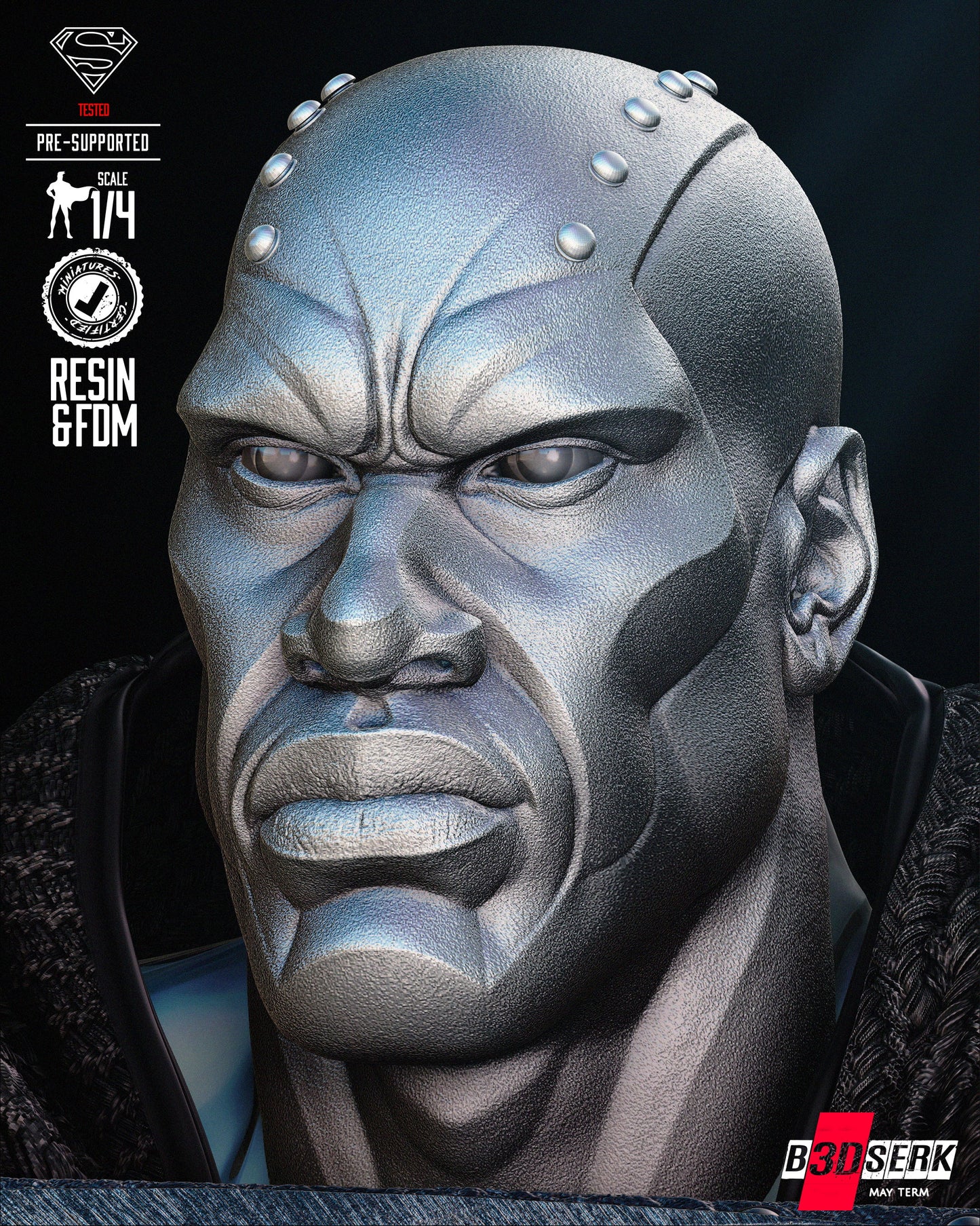 STEEL Bust