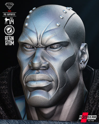 STEEL Bust