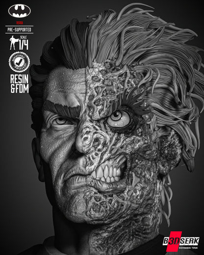 Two Face Bust